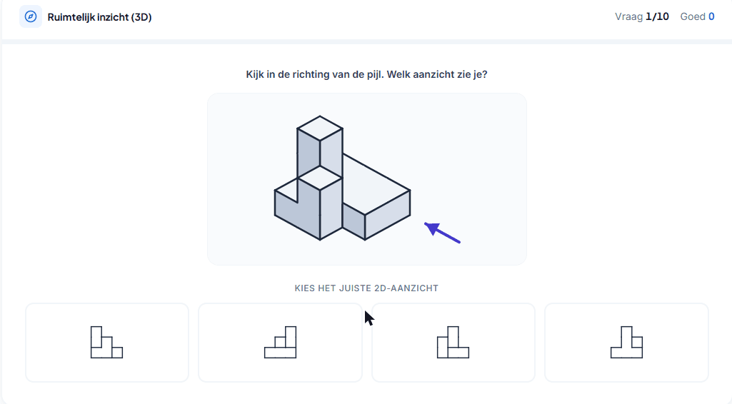 Screenshot van Ruimtelijk inzicht